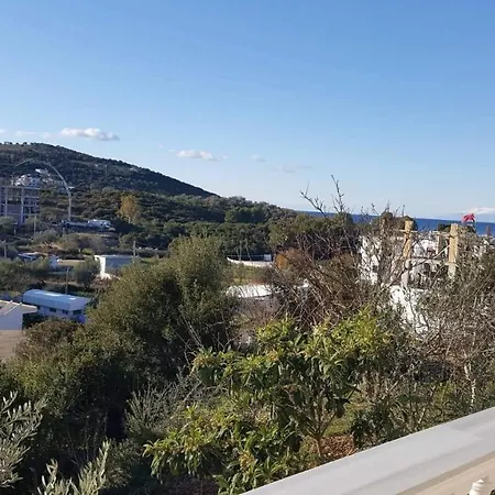 Zambaku
